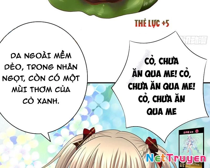 Ta Biến Thành Miêu Nương Chapter 17 - Trang 2