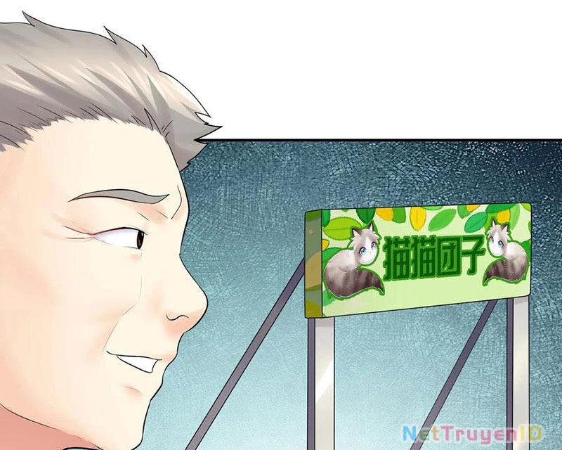 Ta Biến Thành Miêu Nương Chapter 17 - Trang 2