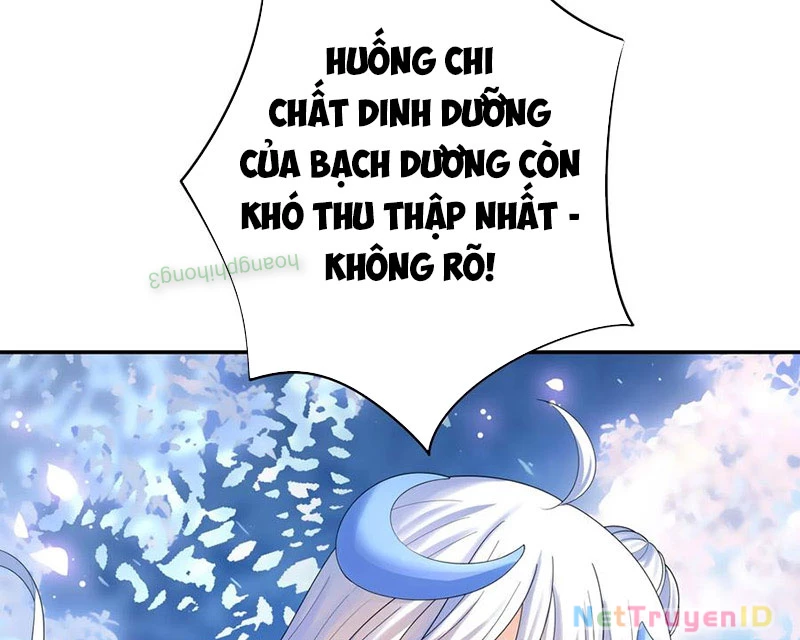Ta Biến Thành Miêu Nương Chapter 17 - Trang 2