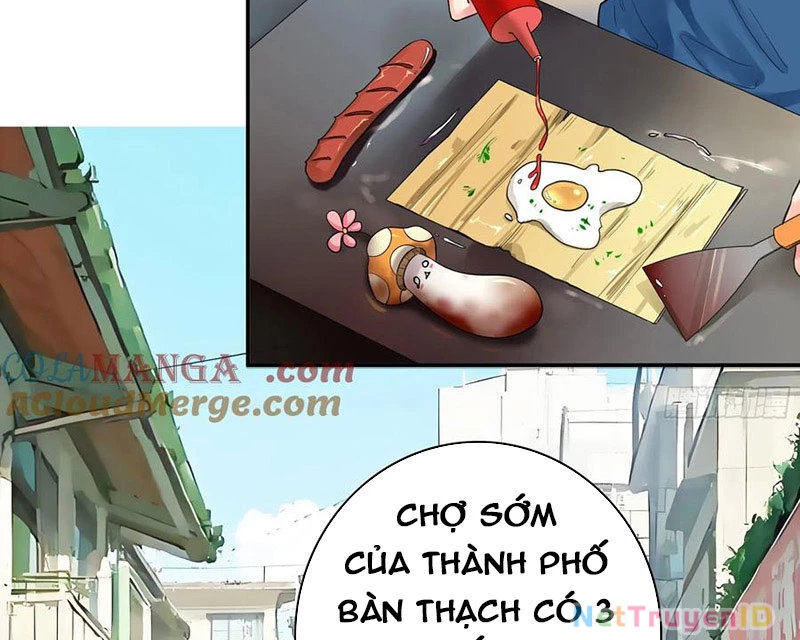 Ta Biến Thành Miêu Nương Chapter 17 - Trang 2