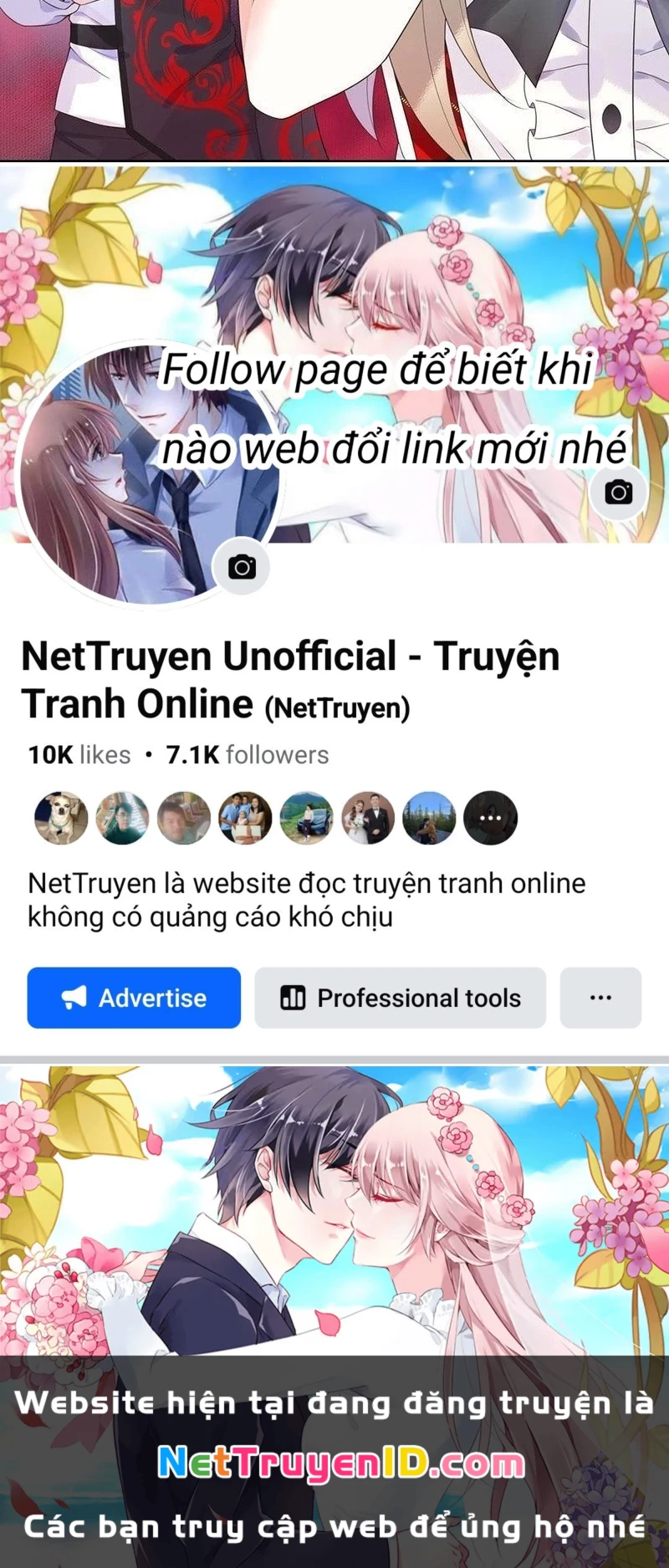 Ta Biến Thành Miêu Nương Chapter 18 - Trang 2