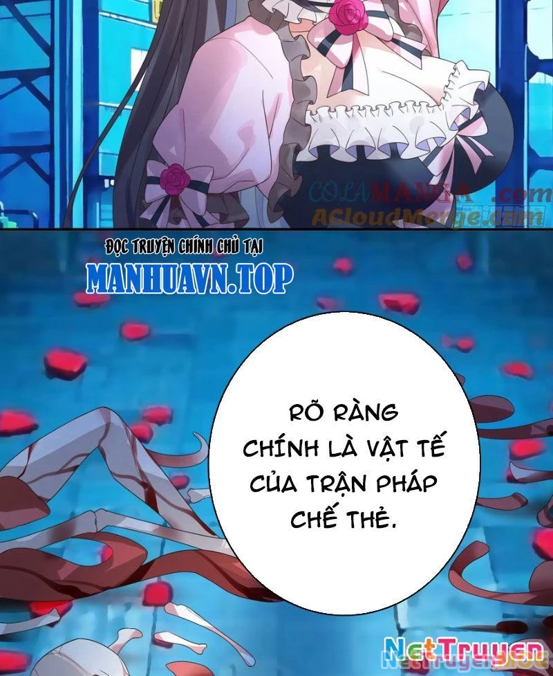 Ta Biến Thành Miêu Nương Chapter 19 - Trang 2