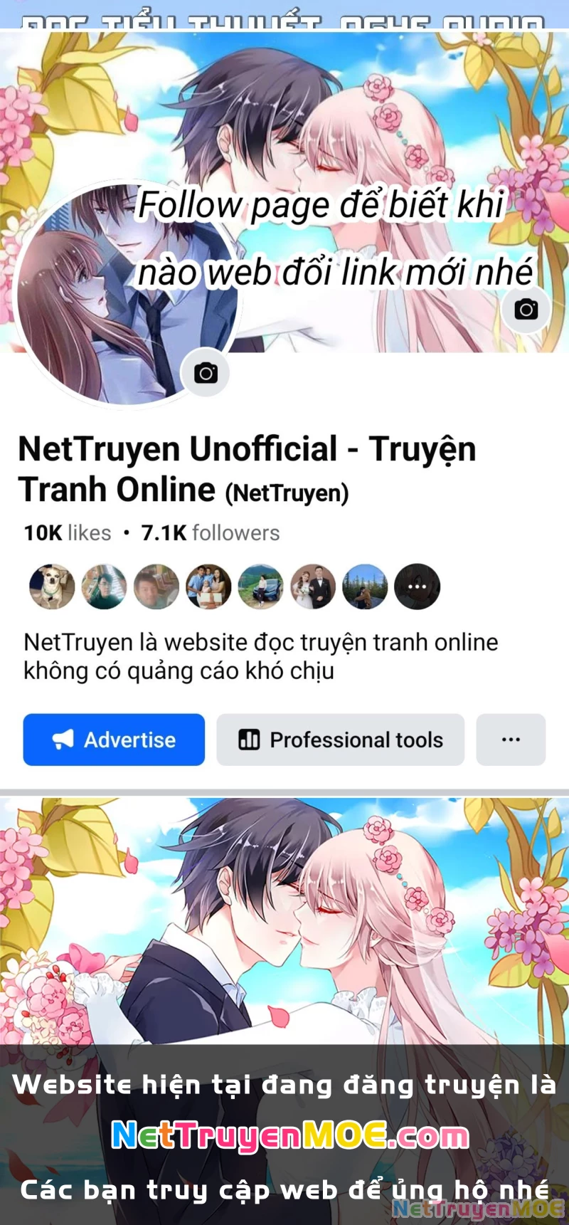 Ta Biến Thành Miêu Nương Chapter 19 - Trang 2