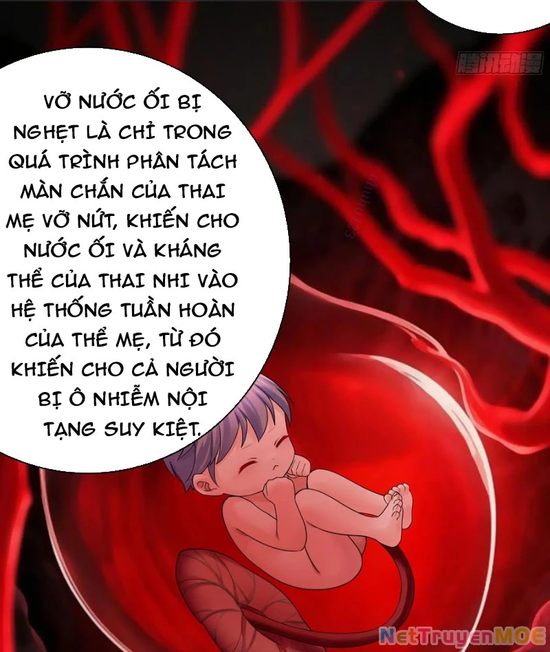 Ta Biến Thành Miêu Nương Chapter 21 - Trang 2