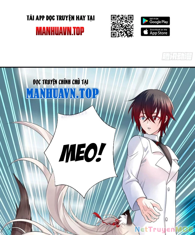 Ta Biến Thành Miêu Nương Chapter 22 - Trang 2