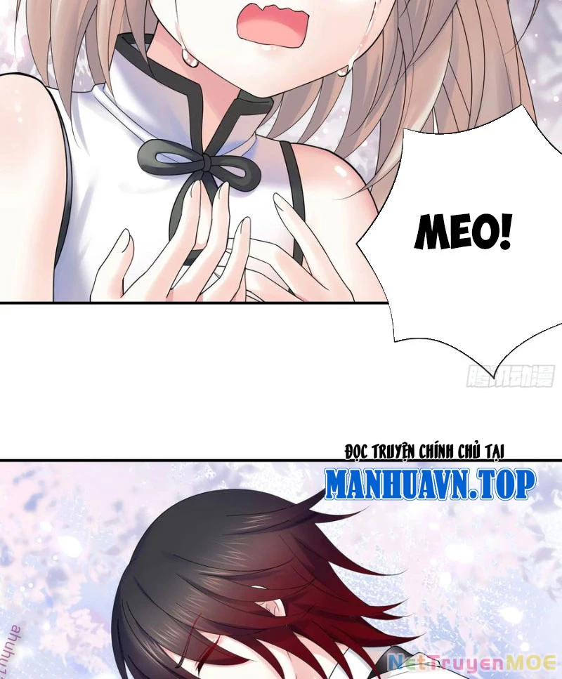 Ta Biến Thành Miêu Nương Chapter 22 - Trang 2
