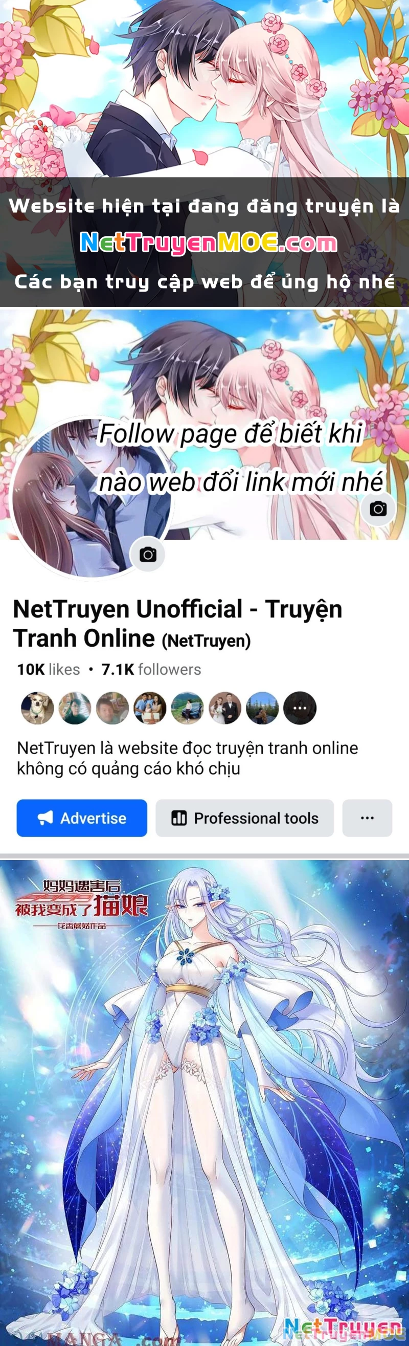 Ta Biến Thành Miêu Nương Chapter 23 - Trang 2