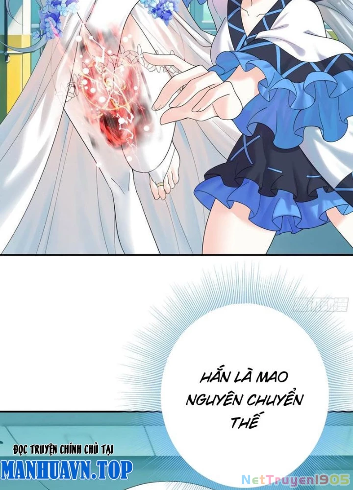 Ta Biến Thành Miêu Nương Chapter 25 - Trang 2