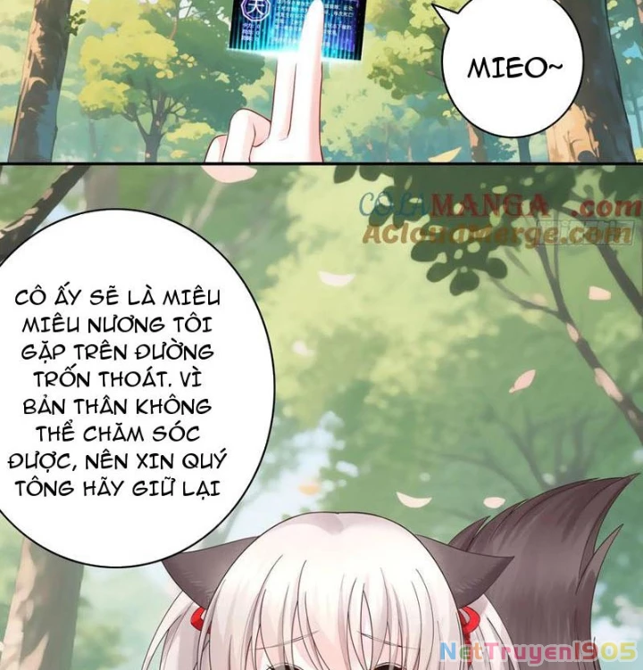 Ta Biến Thành Miêu Nương Chapter 28 - Trang 2