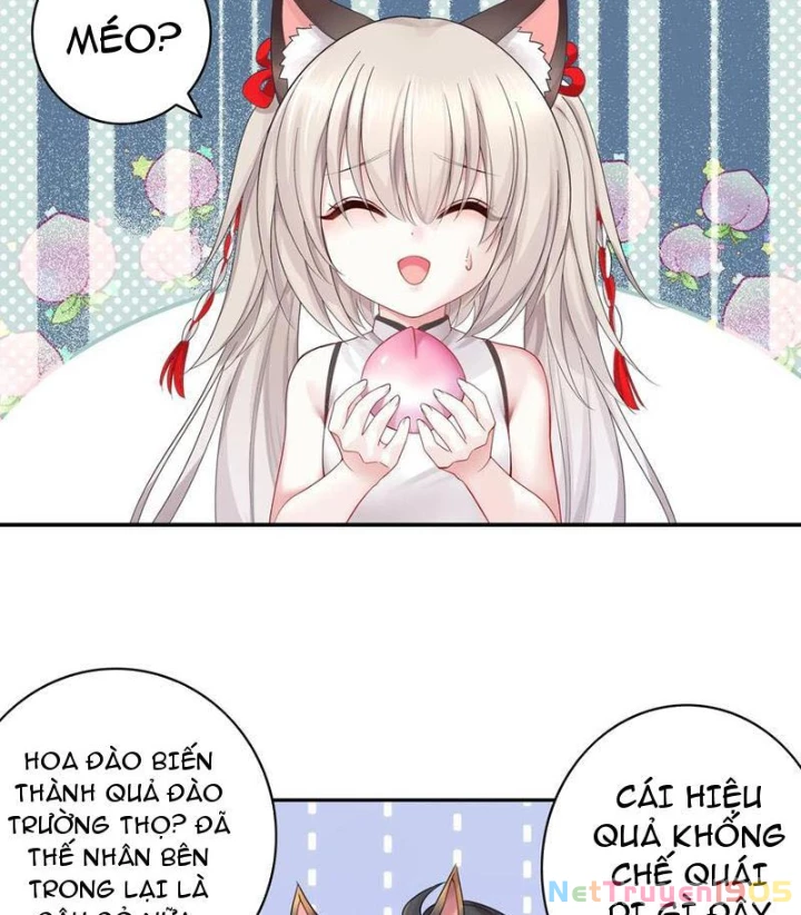 Ta Biến Thành Miêu Nương Chapter 28 - Trang 2