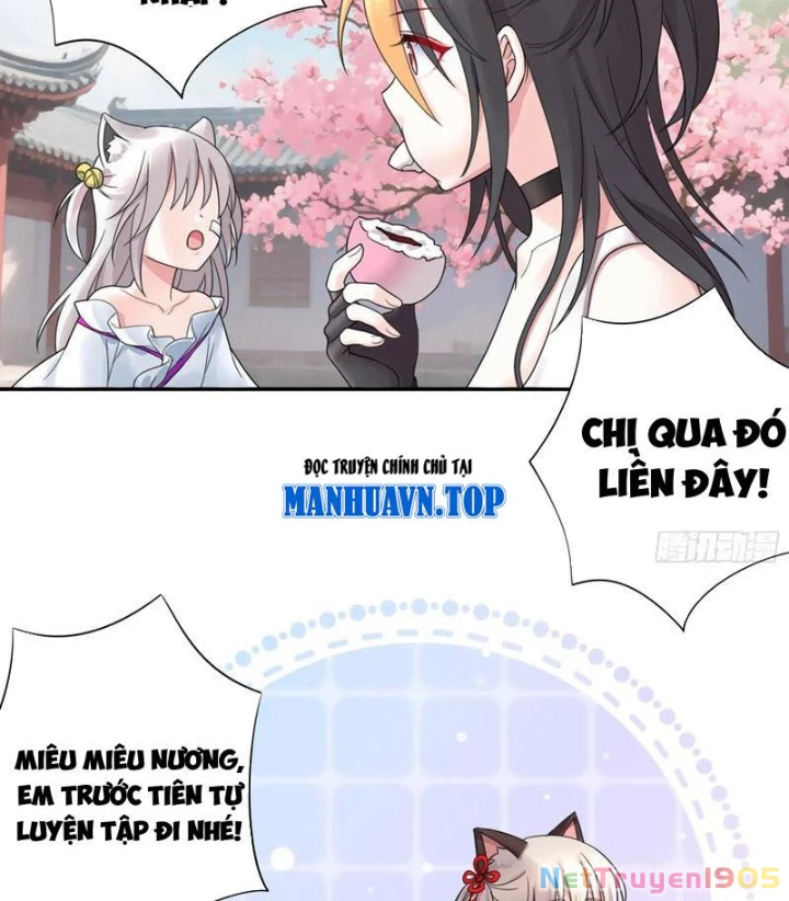 Ta Biến Thành Miêu Nương Chapter 28 - Trang 2