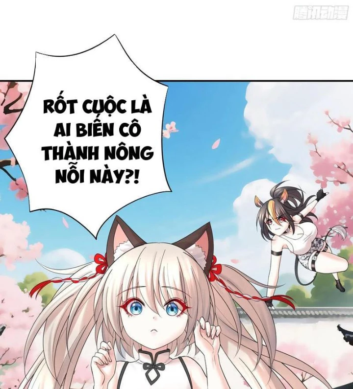 Ta Biến Thành Miêu Nương Chapter 29 - Trang 2