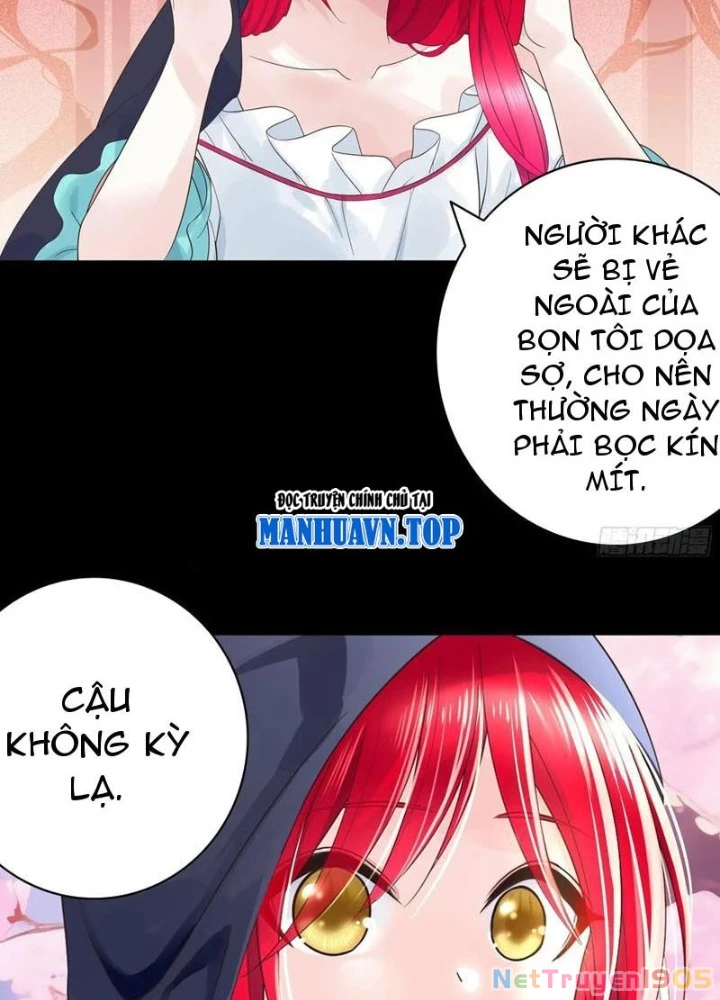 Ta Biến Thành Miêu Nương Chapter 30 - Trang 2