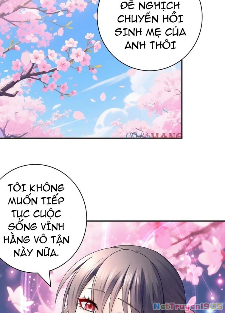 Ta Biến Thành Miêu Nương Chapter 33 - Trang 2