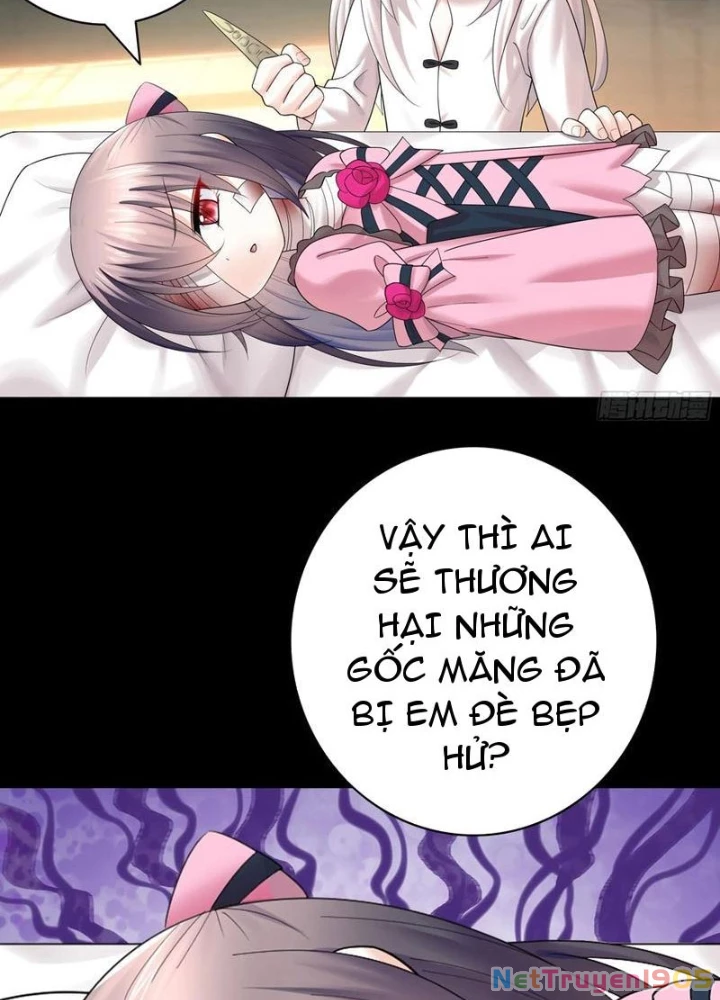 Ta Biến Thành Miêu Nương Chapter 33 - Trang 2