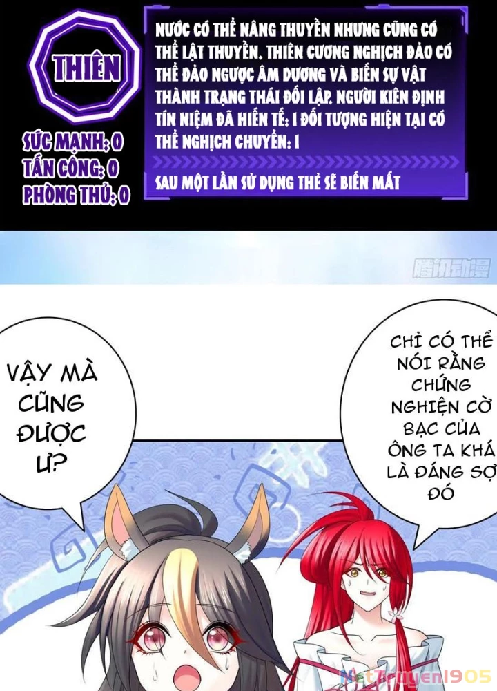 Ta Biến Thành Miêu Nương Chapter 33 - Trang 2