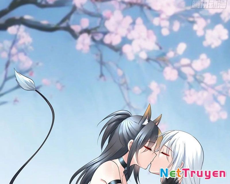 Ta Biến Thành Miêu Nương Chapter 36 - Trang 2