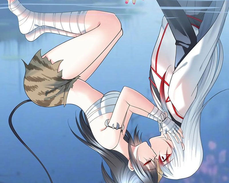 Ta Biến Thành Miêu Nương Chapter 36 - Trang 2