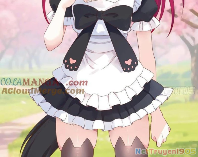 Ta Biến Thành Miêu Nương Chapter 37 - Trang 2