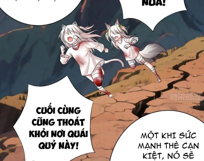 Ta Biến Thành Miêu Nương Chapter 37 - Trang 2