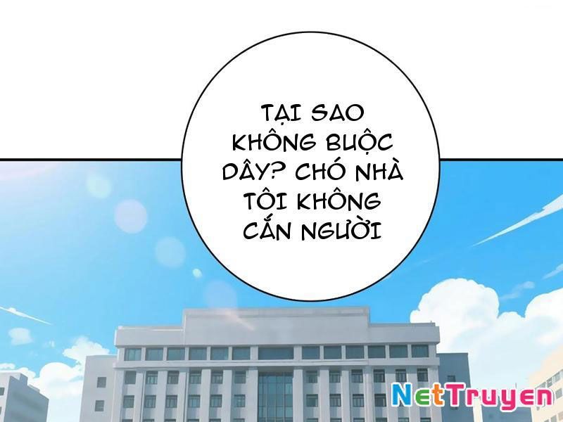 Ta Biến Thành Miêu Nương Chapter 40 - Trang 2