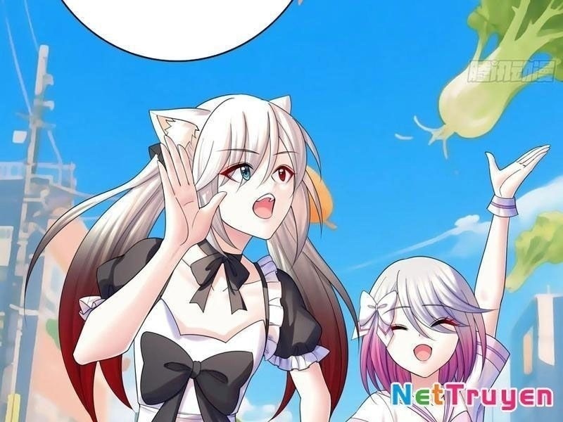 Ta Biến Thành Miêu Nương Chapter 40 - Trang 2