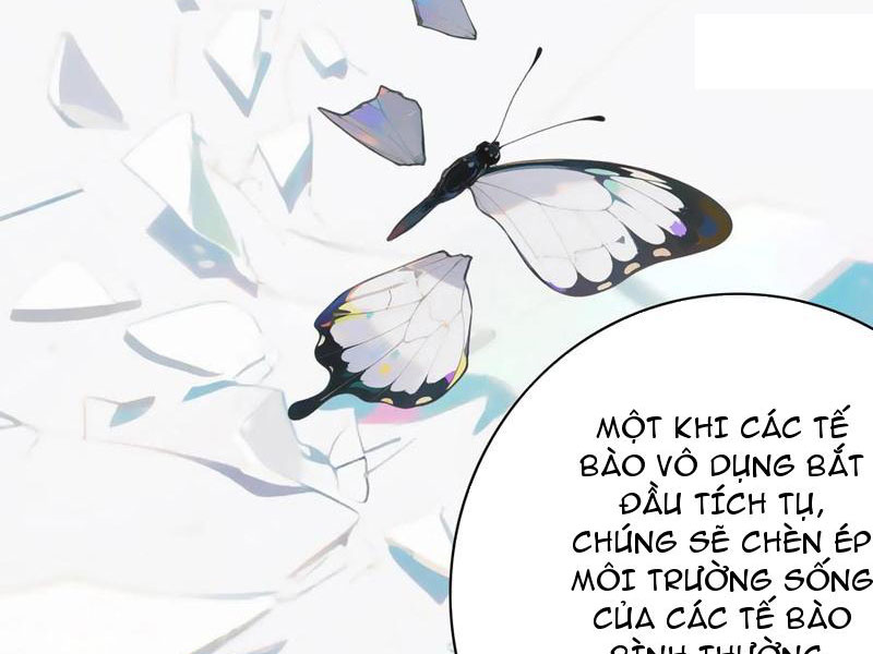 Ta Biến Thành Miêu Nương Chapter 40 - Trang 2
