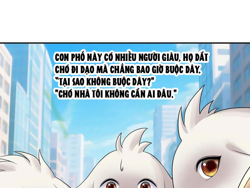 Ta Biến Thành Miêu Nương Chapter 40 - Trang 2
