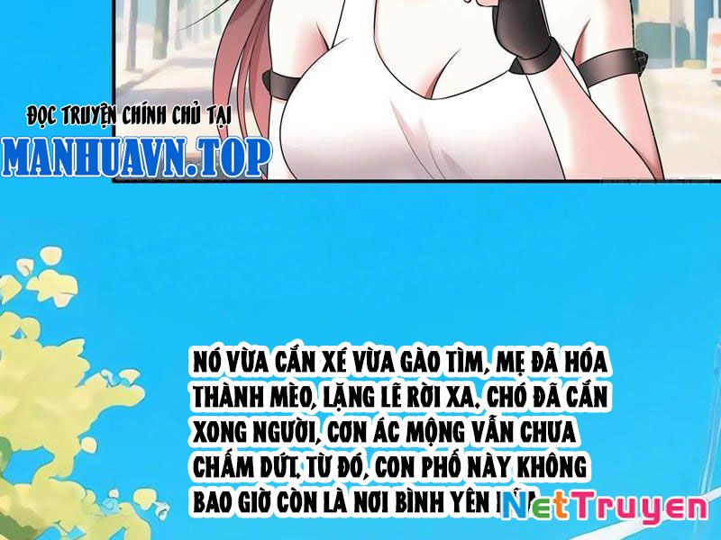 Ta Biến Thành Miêu Nương Chapter 40 - Trang 2