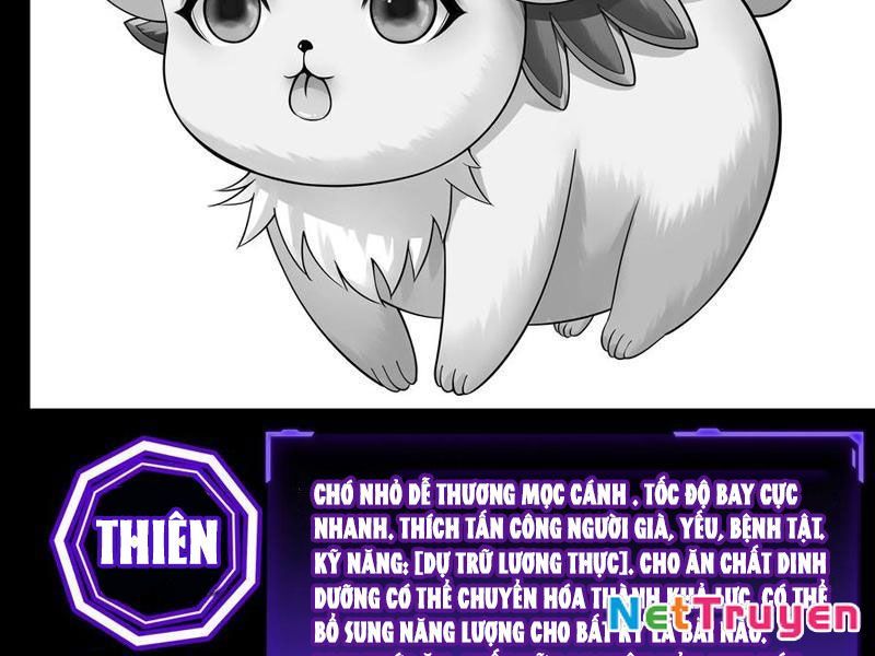 Ta Biến Thành Miêu Nương Chapter 40 - Trang 2