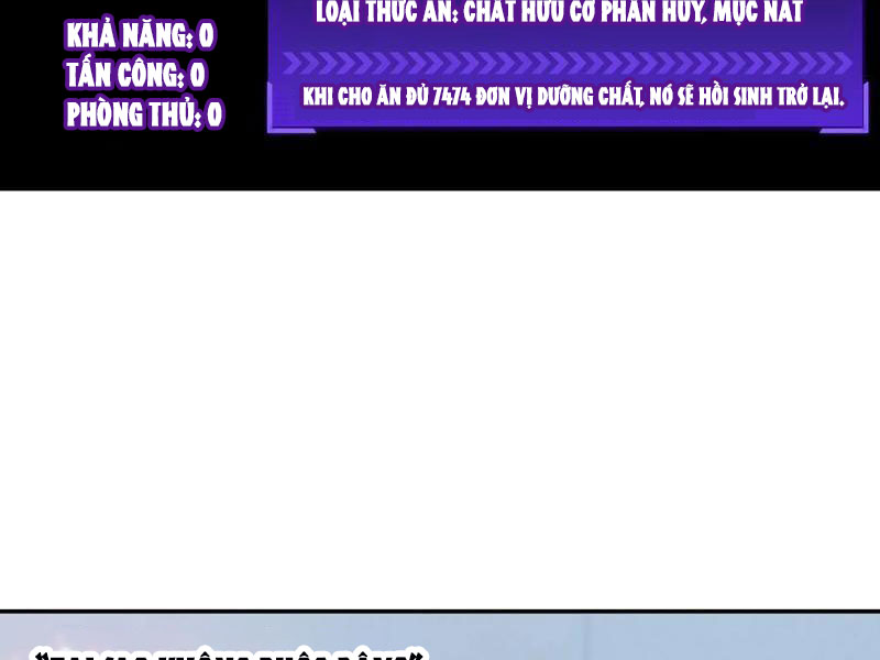 Ta Biến Thành Miêu Nương Chapter 40 - Trang 2