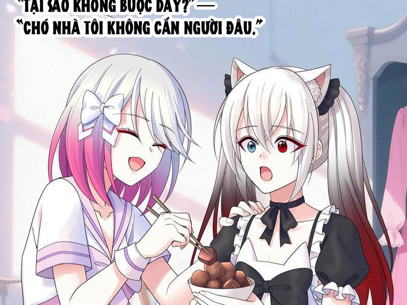 Ta Biến Thành Miêu Nương Chapter 40 - Trang 2