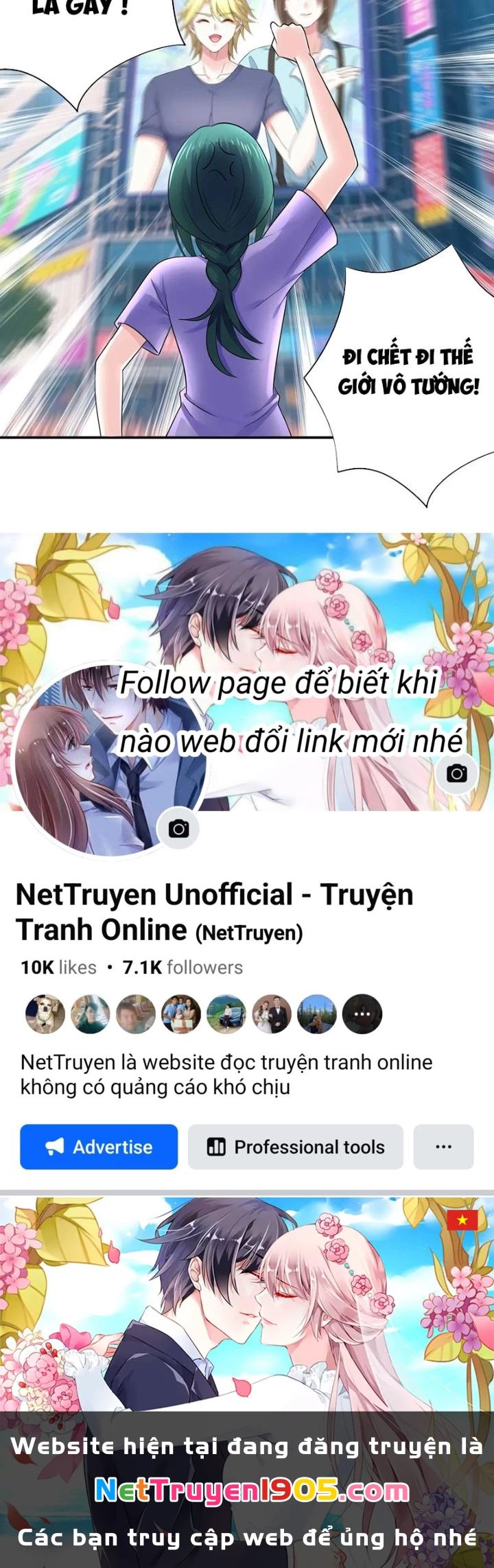 Ta Biến Thành Miêu Nương Chapter 42 - Trang 2