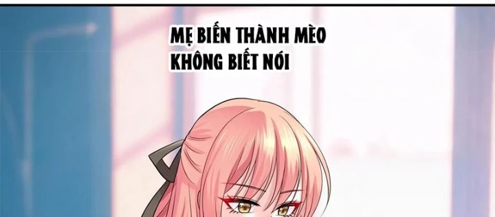 Ta Biến Thành Miêu Nương Chapter 42 - Trang 2