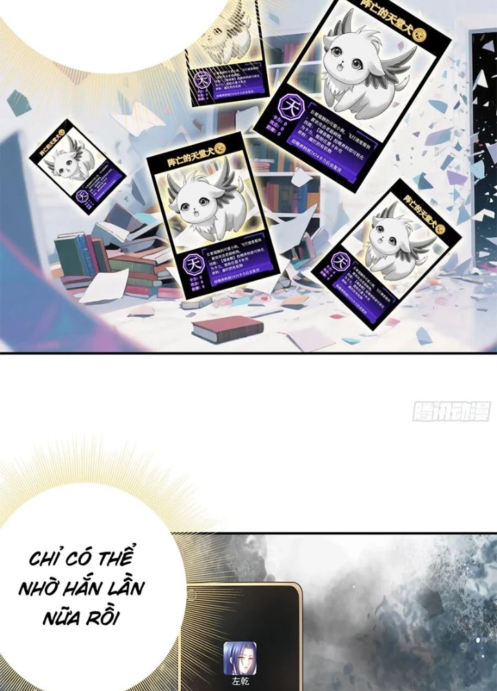 Ta Biến Thành Miêu Nương Chapter 42 - Trang 2