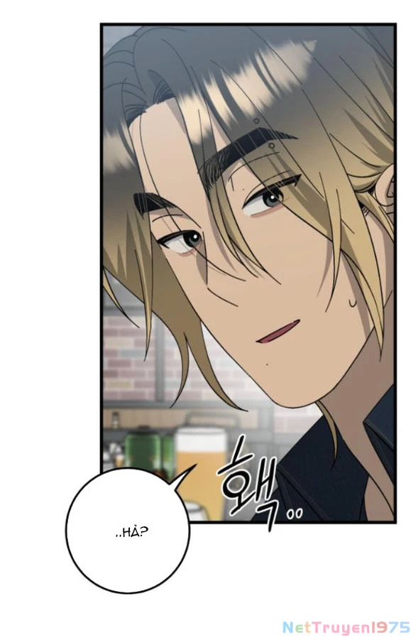 Quy Luật Về Rác Rưởi Chapter 22.2 - Trang 2