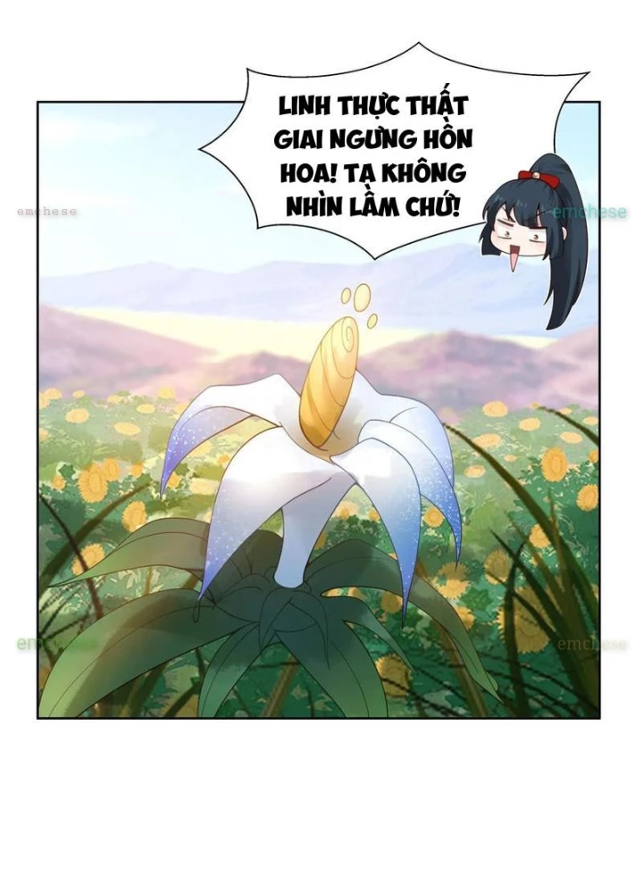 Nữ Phụ Tu Tiên Từ Chối Kịch Bản Làm Pháo Hôi Chapter 12 - Trang 2