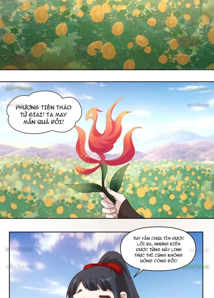 Nữ Phụ Tu Tiên Từ Chối Kịch Bản Làm Pháo Hôi Chapter 12 - Trang 2