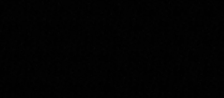 Hắc Bạch Hồ Ly Độc Tâm Côn Luân Kiếm Tuyến Bạch Bệnh Chi Chủ Chapter 44.1 - Trang 2