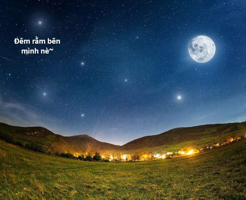 Hổ Đến Chơi Nhà (Puchimasu Miếu) Chapter 140 - Trang 2