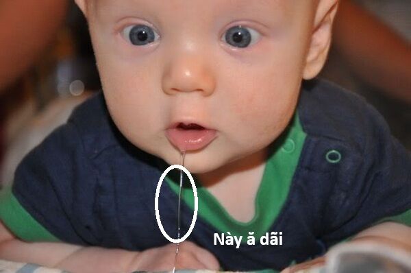 Hổ Đến Chơi Nhà (Puchimasu Miếu) Chapter 140 - Trang 2