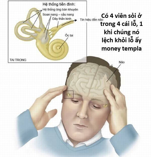 Hổ Đến Chơi Nhà (Puchimasu Miếu) Chapter 144 - Trang 2