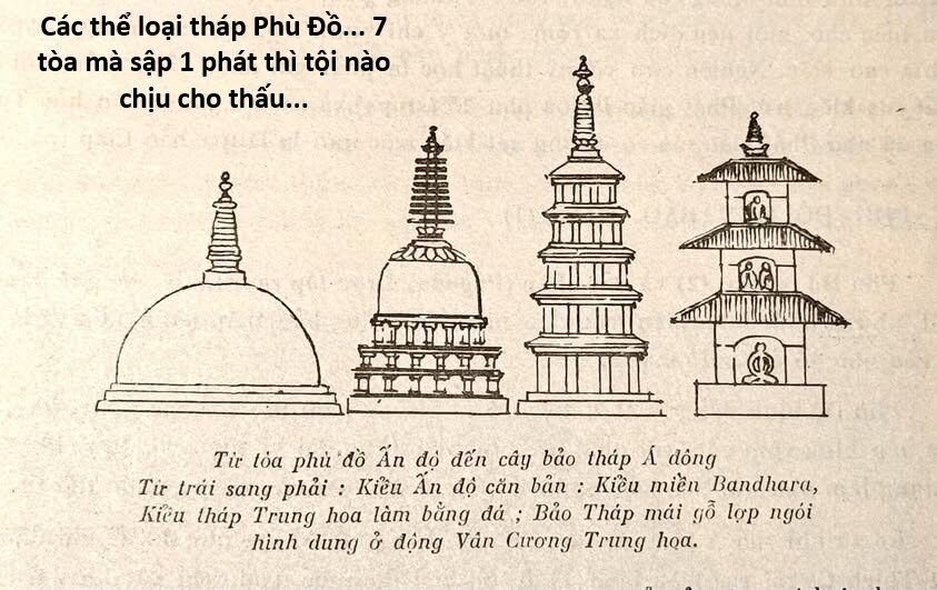 Hổ Đến Chơi Nhà (Puchimasu Miếu) Chapter 148 - Trang 2