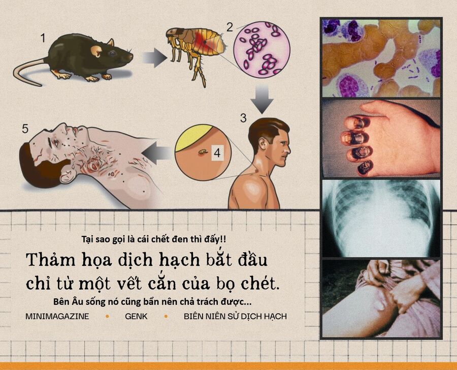 Hổ Đến Chơi Nhà (Puchimasu Miếu) Chapter 156 - Trang 2