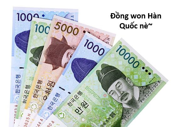 Hổ Đến Chơi Nhà (Puchimasu Miếu) Chapter 159 - Trang 2