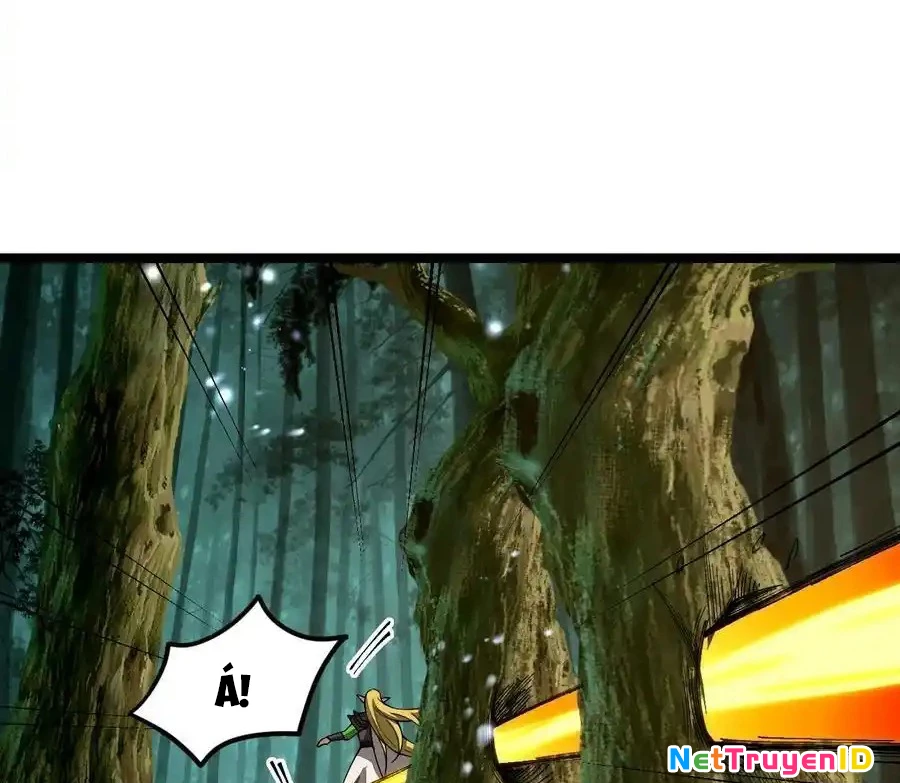 Sức Mạnh Của Kiếm Thần Chapter 69 - Trang 2