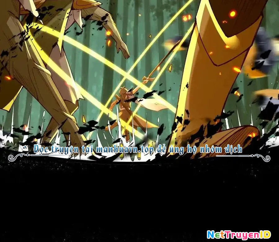 Sức Mạnh Của Kiếm Thần Chapter 69 - Trang 2