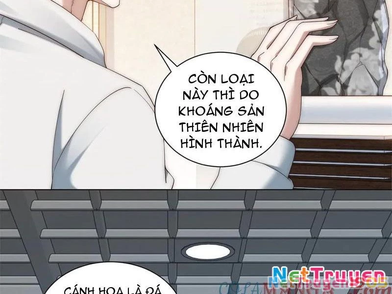 Giá Trị Hàng Hóa Giảm Trăm Vạn Lần Chapter 39 - Trang 2