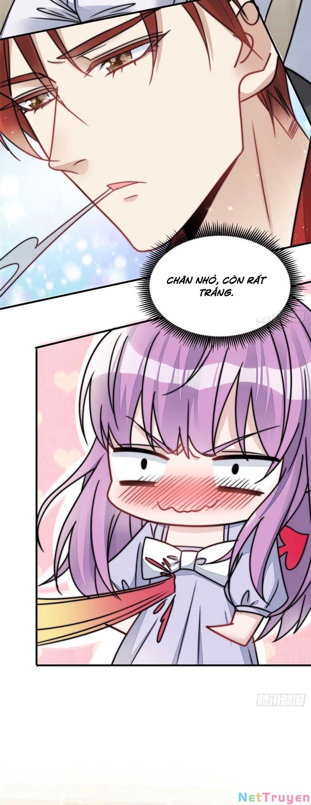 Đại Lão Nào Cũng Tranh Sủng Ta Chapter 8 - Trang 2