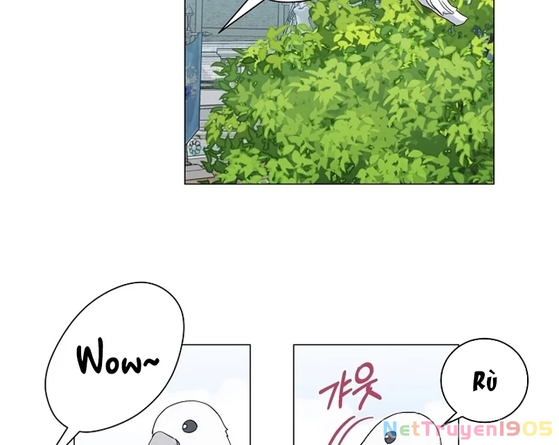 Cách Từ Chối Lời Mời Của Nhà Vua Chapter 4 - Trang 2